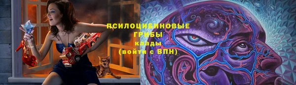 apvp Баксан